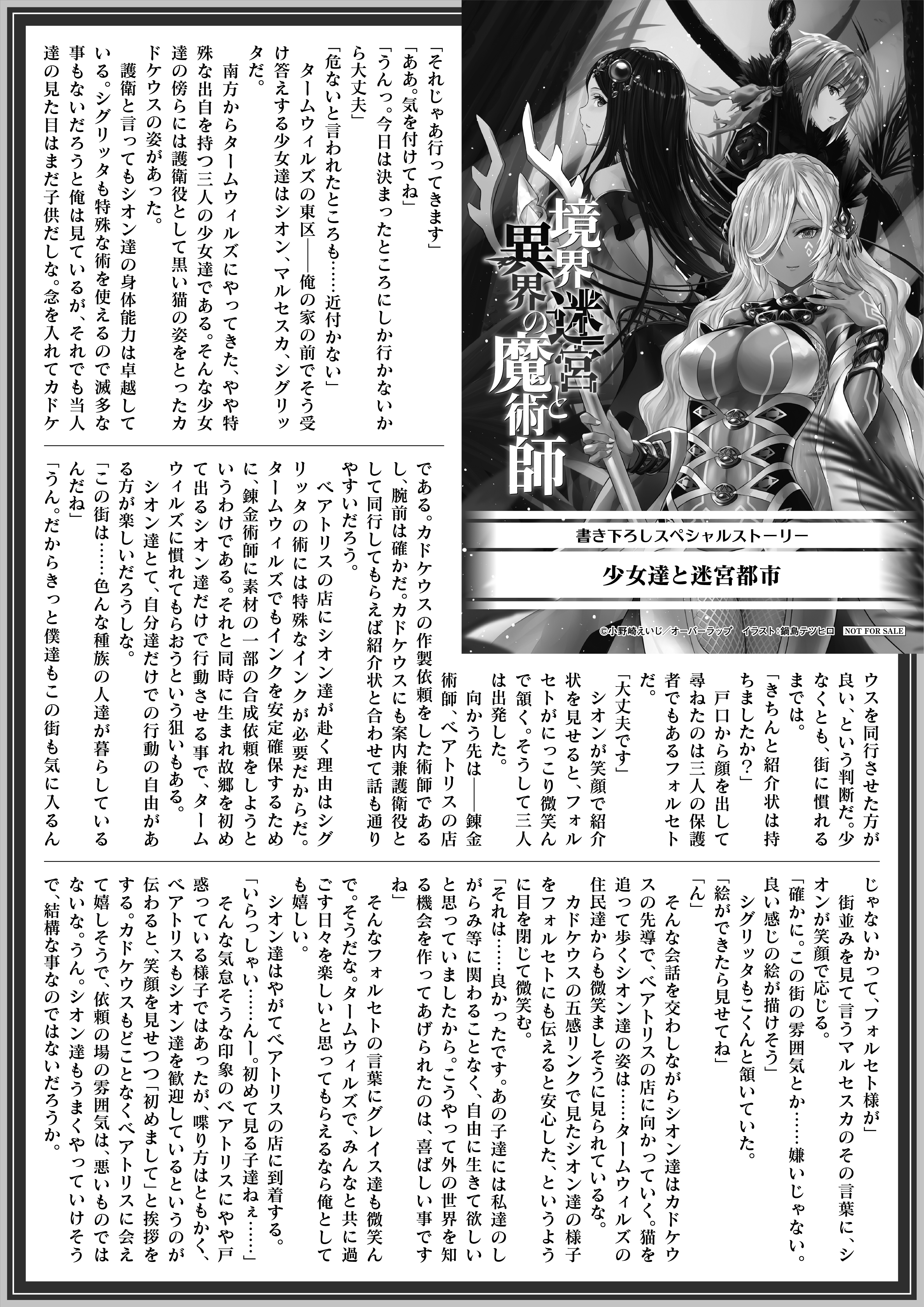 【ノベルス】「境界迷宮と異界の魔術師 13」A4SSペーパー